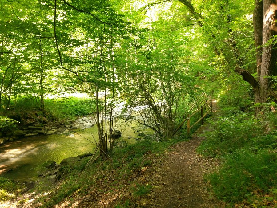 Dörsbach nella Jammertal presso Katzenelnbogen nel circondario del Rhein-Lahn