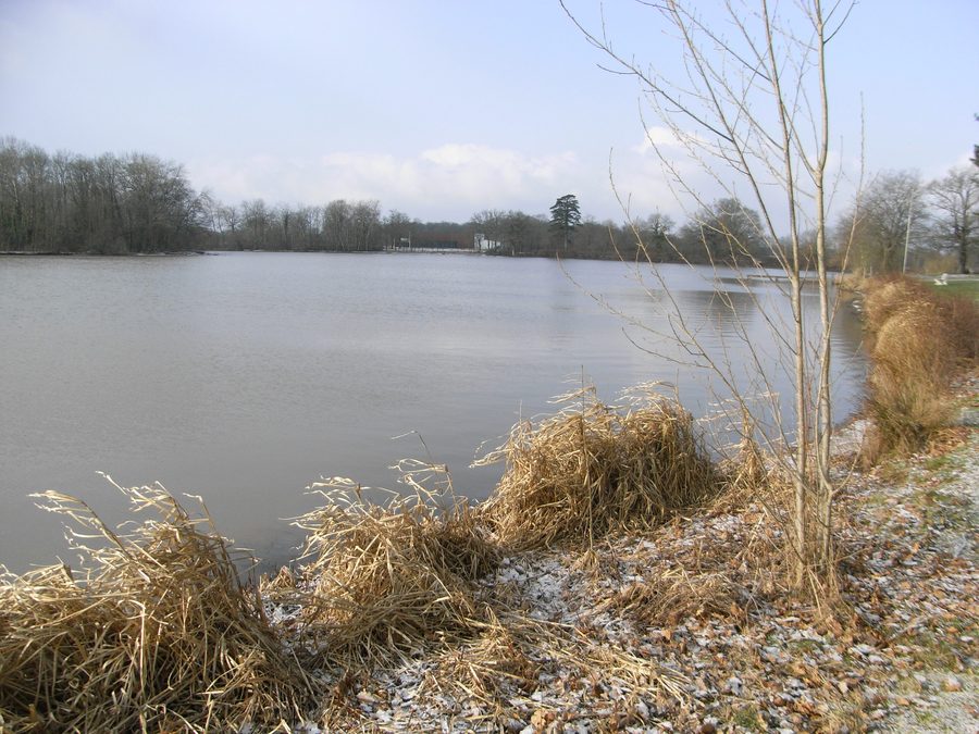 Laghetto della Thévinière a Gesté nel Maine-et-Loire
