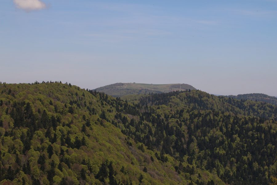 Vista sul Ballon d’Alsace dalla Planche des Belles Filles presso Lepuix