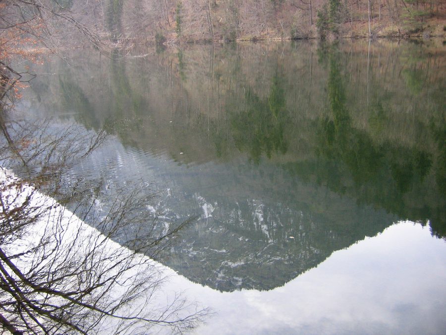 Area della riva dello Stimmersee a Langkampfen, Tirolo