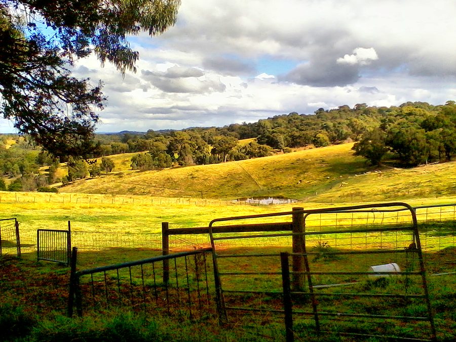 Prato aperto in una vecchia fattoria a Cottle's Bridge vicino a Melbourne
