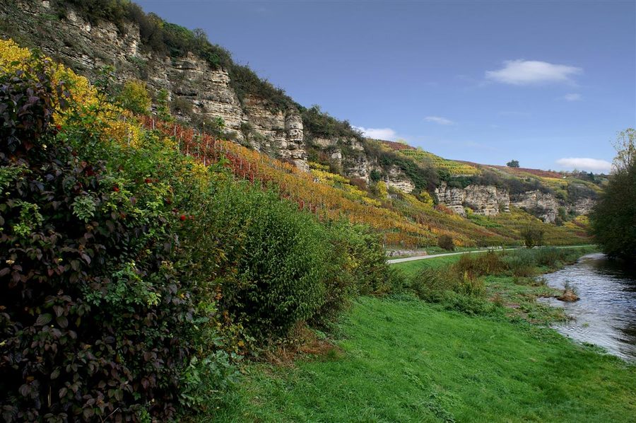 Valle dell’Enz presso Mühlhausen con corso del fiume e pendii boscosi