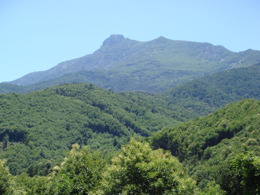 Paesaggio di montagna e di valle della Castagniccia in Corsica