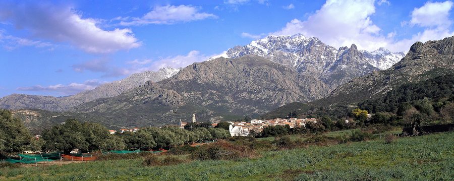 Panorama di Calenzana in Corsica con uliveti