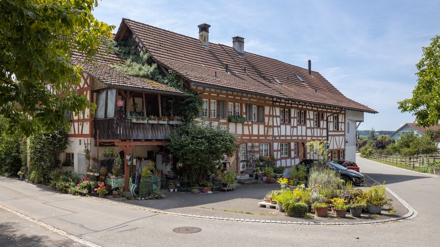 Case a graticcio in Rietweg a Oberstammheim nel Canton Zurigo
