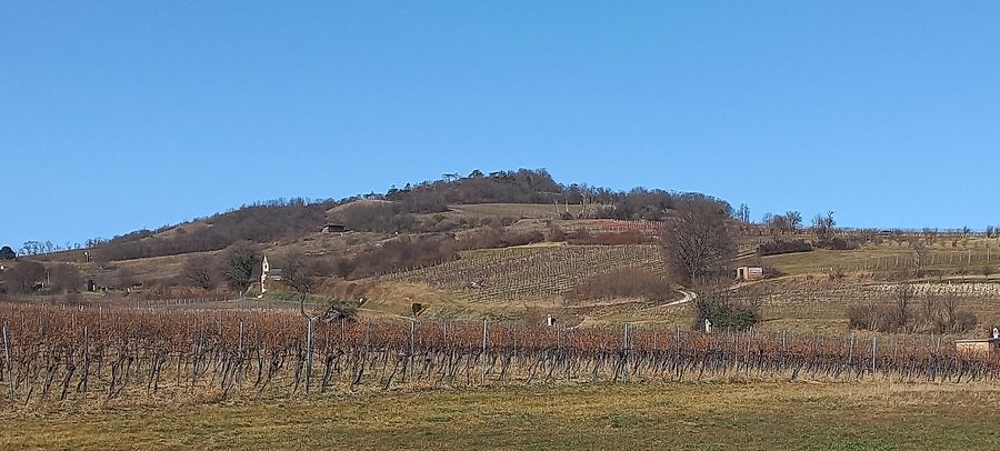 Eichkogel presso l'Anninger con una cappella dei vigneti vincolata come bene monumentale e vigneti