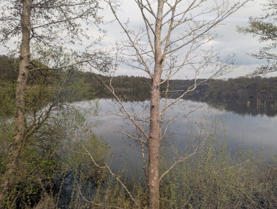 Vista sulla parte settentrionale del Behler See nei dintorni di Timmdorf