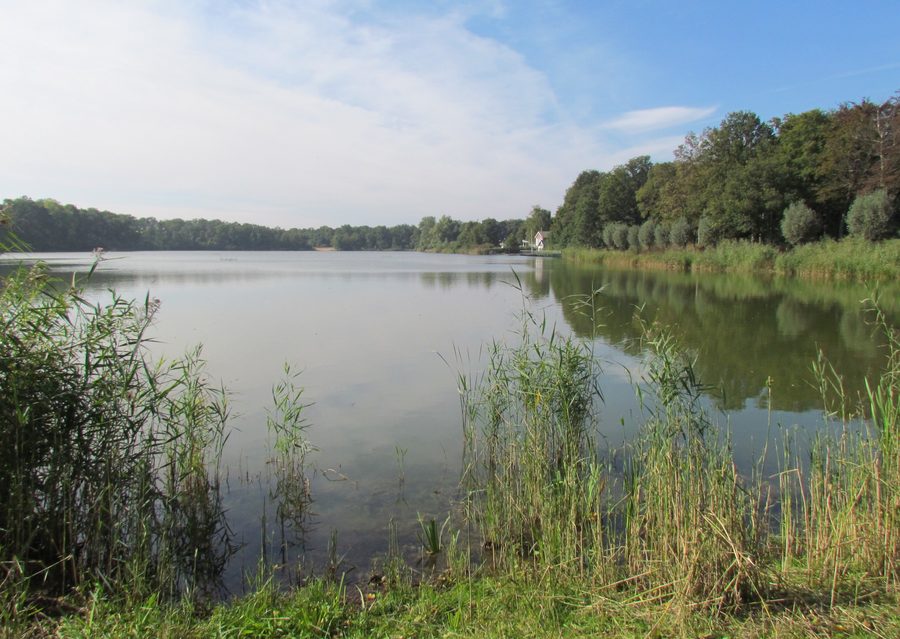 Lago De IJzeren Man a Weert