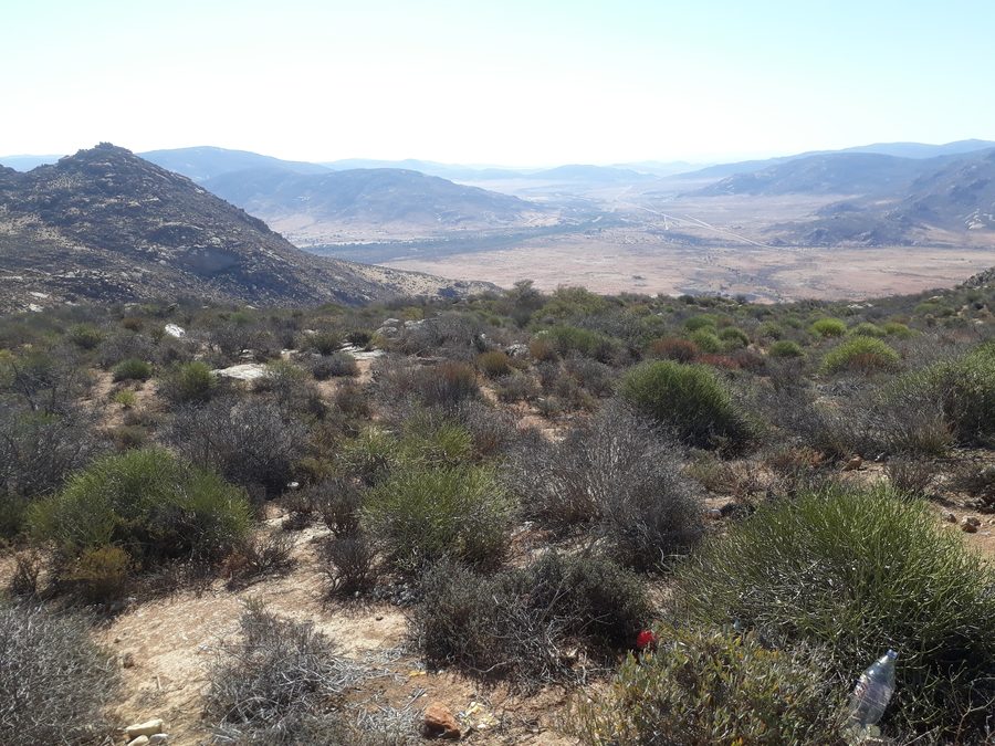 Una strada nell’entroterra sudafricano che conduce verso ovest.