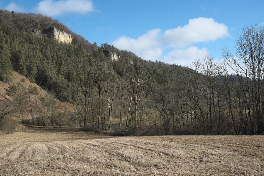 Paesaggio roccioso e Valle del Danubio presso Mühlheim an der Donau