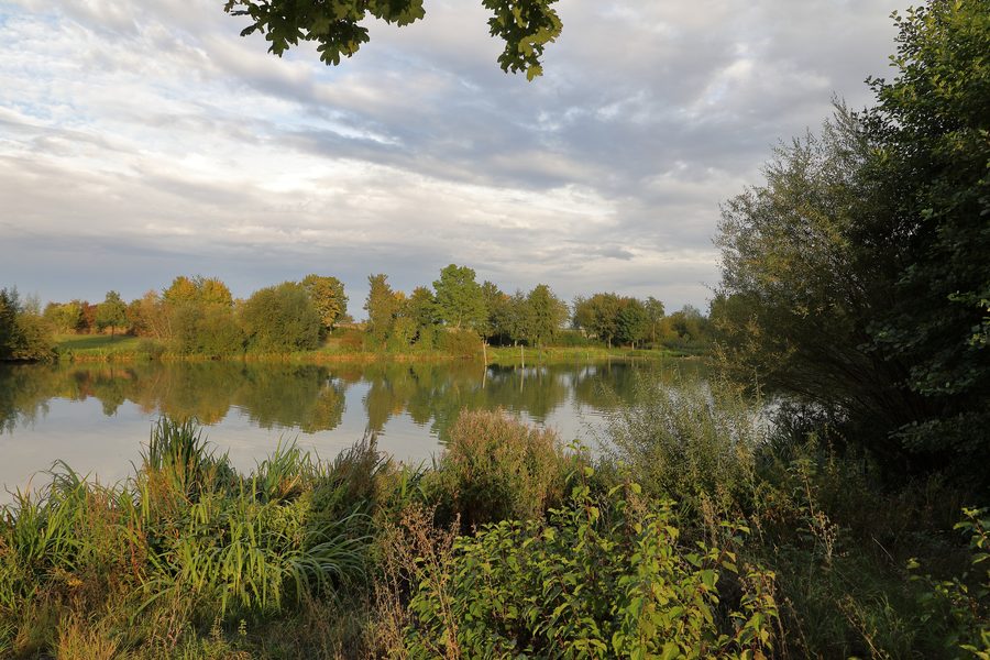 Lago Rinderfelder presso la frazione Rinderfeld di Niederstetten