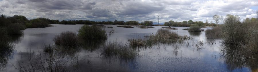 Laguna di Villadangos del Páramo a León